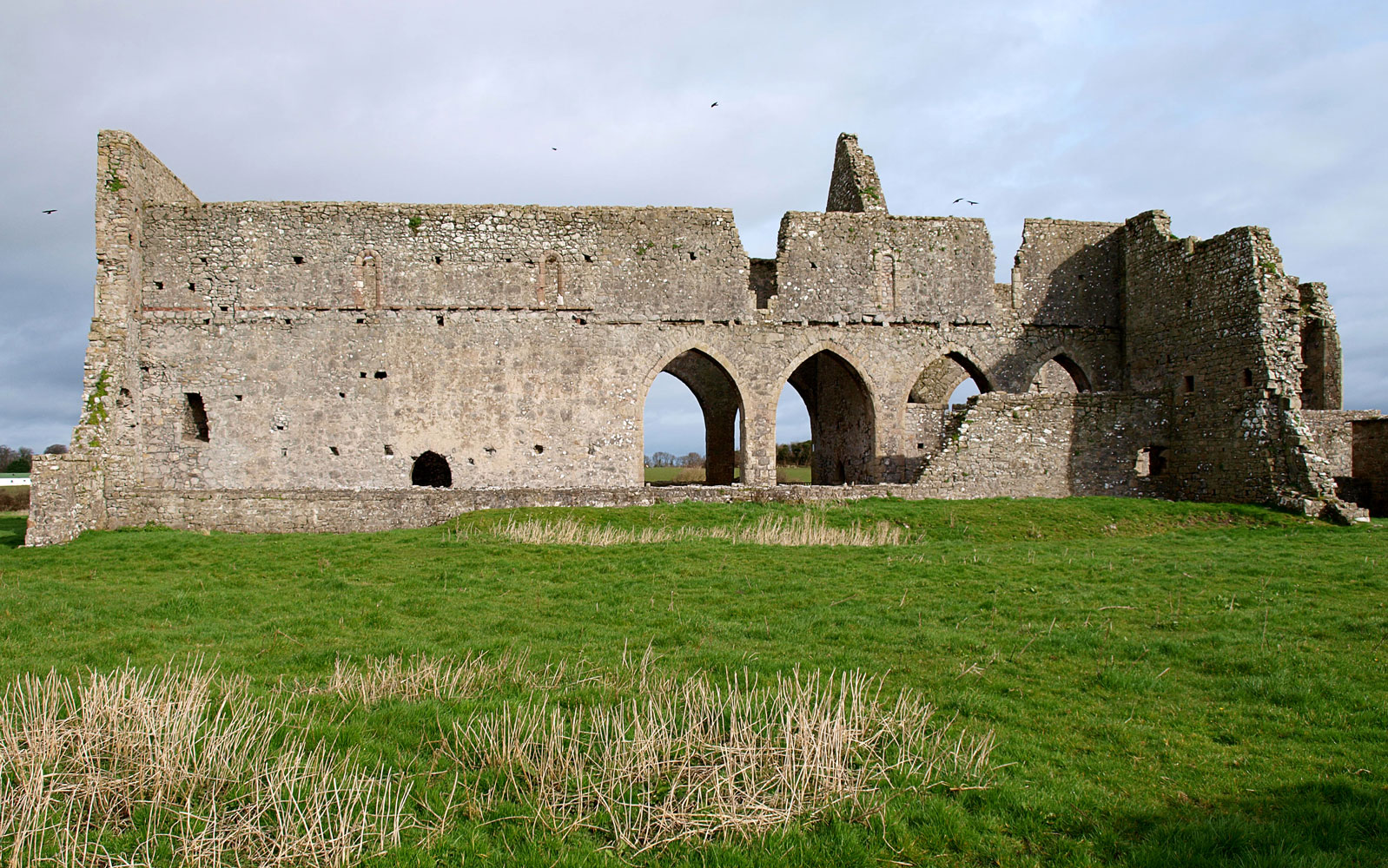 In praise of Monasteranenagh